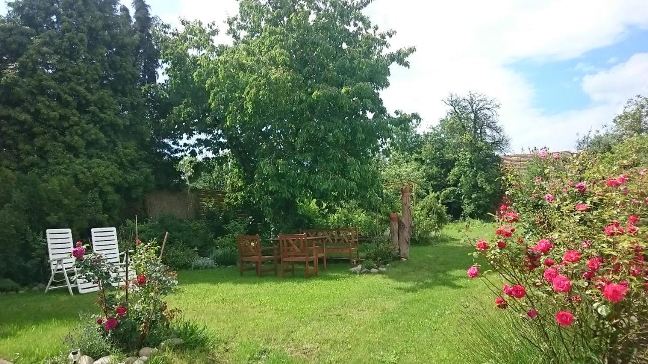 Apartment Sarka Cista (Rakovnik)